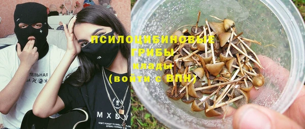 2c-b Алзамай