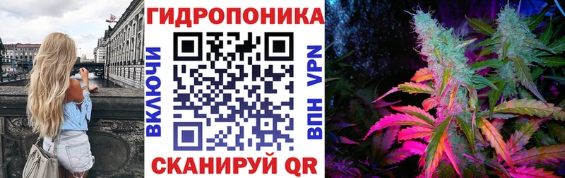 закладки  Ковылкино  МАРИХУАНА SATIVA & INDICA 